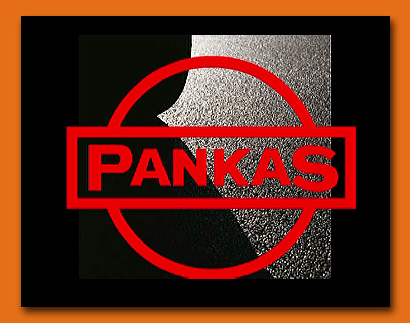 Pankas - Virksomheds Intro